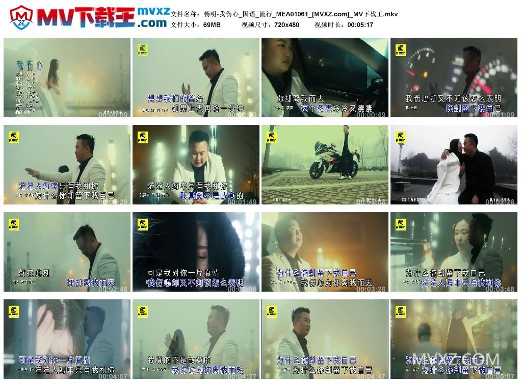 杨明-我伤心_国语_流行_MEA01061